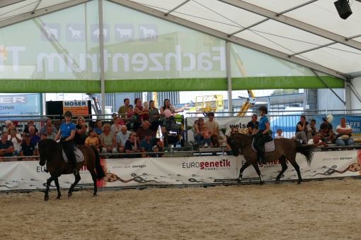 herbstmesse-03