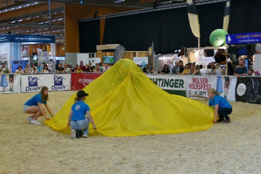 messe-05